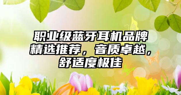職業(yè)級藍牙耳機品牌精選推薦，音質卓越，舒適度極佳