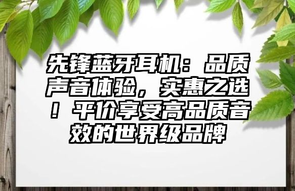 先鋒藍(lán)牙耳機(jī)：品質(zhì)聲音體驗，實惠之選！平價享受高品質(zhì)音效的世界級品牌